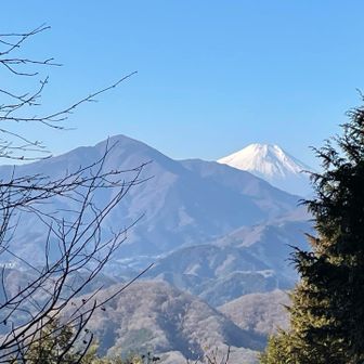 木々の隙間から 大室山と富士🗻
丹沢山地では大室山の巨体が目立つ
