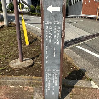 武蔵五日市駅のこちら側に出るのは初めて