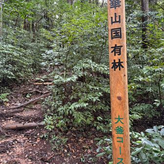 この辺りは歩いて無いかも