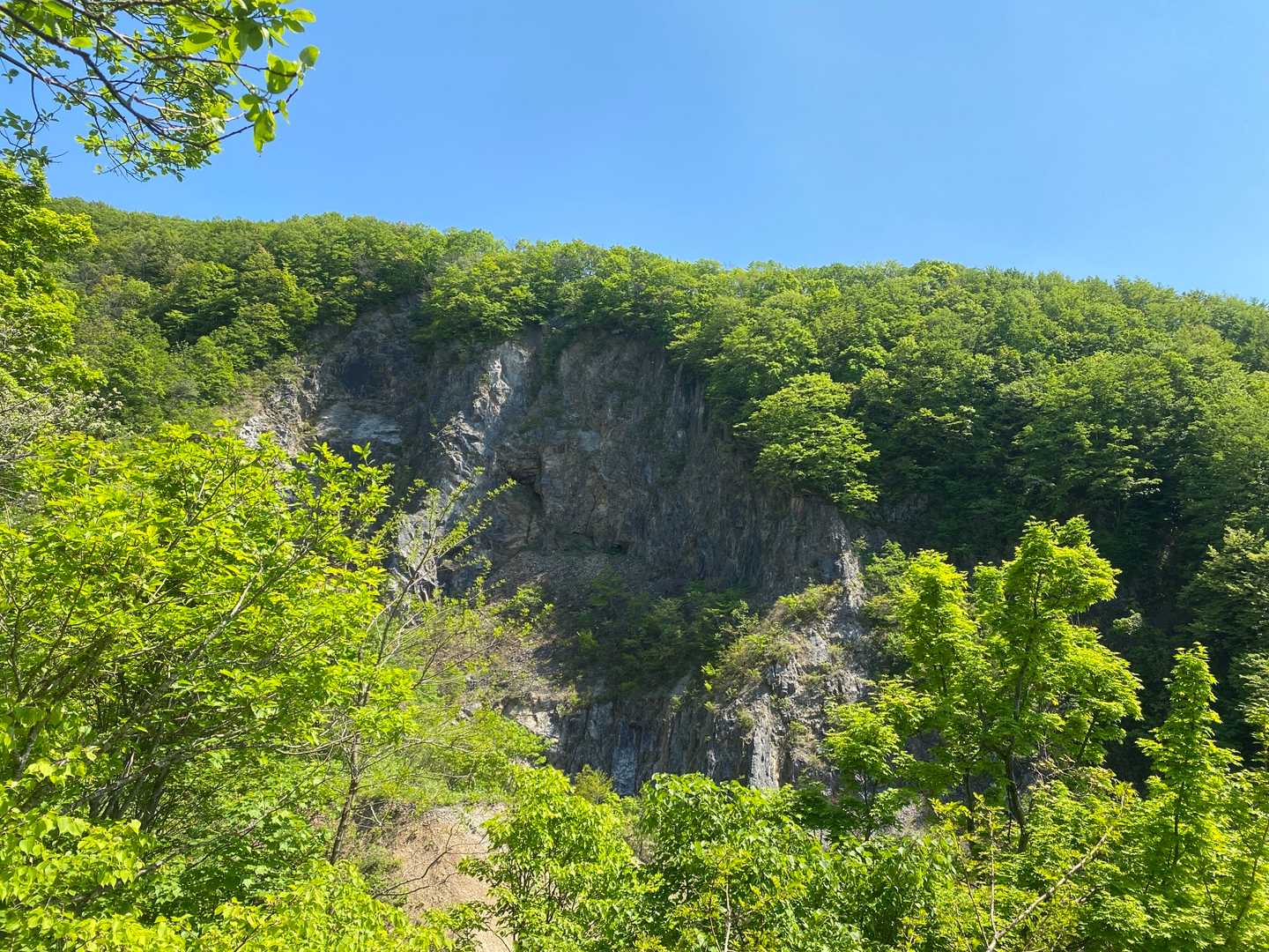 東岳登山口-東岳 往復コースの写真