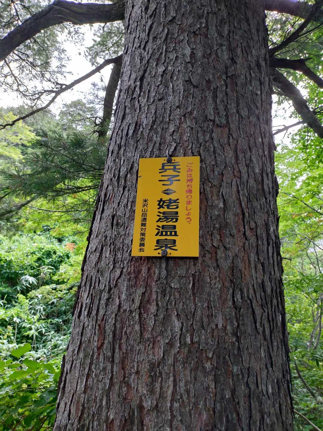 表紙用にと