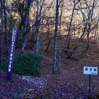 この辺はとても分かりにくい