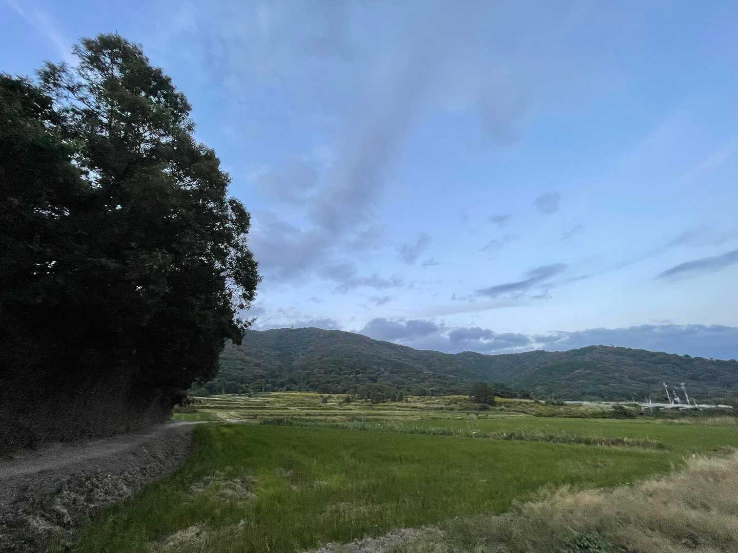 今日もありがとうございました♪