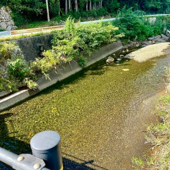 川きれいだなぁ〜余力があるので、おかわりプチ登山⛰️