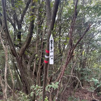 鷹の巣山山頂