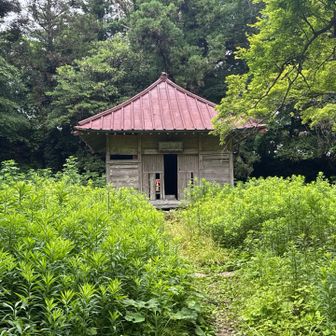 富山南峰のお堂。お堂の左から時計周りに進む道は見つけられず、お堂の手前階段下から反時計回りで展望台方面に進むことにしました。