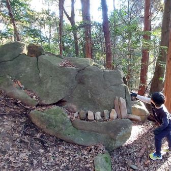 地球の平和が守られた。
よくやったぞ、次男！