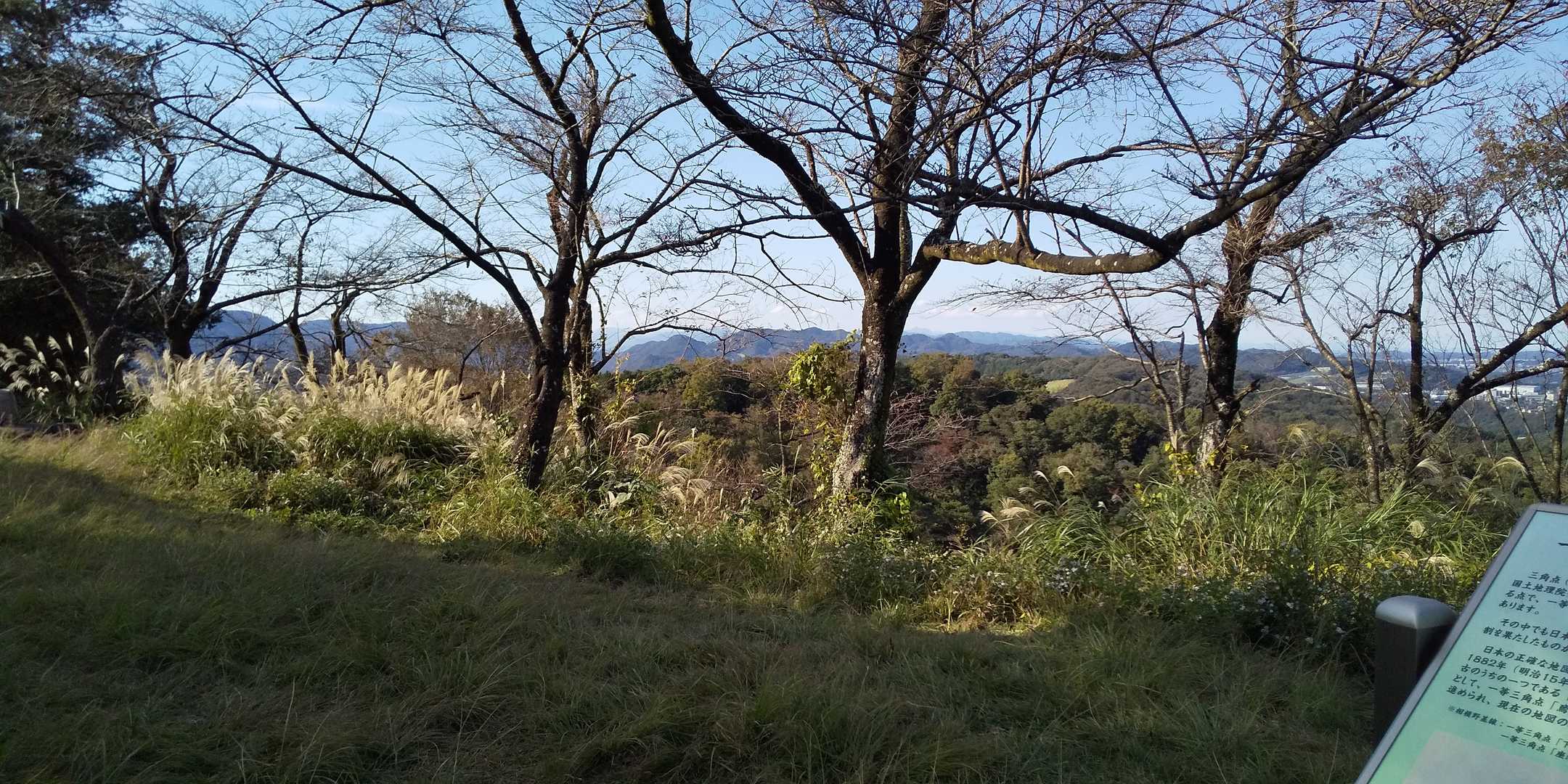 山頂の風景