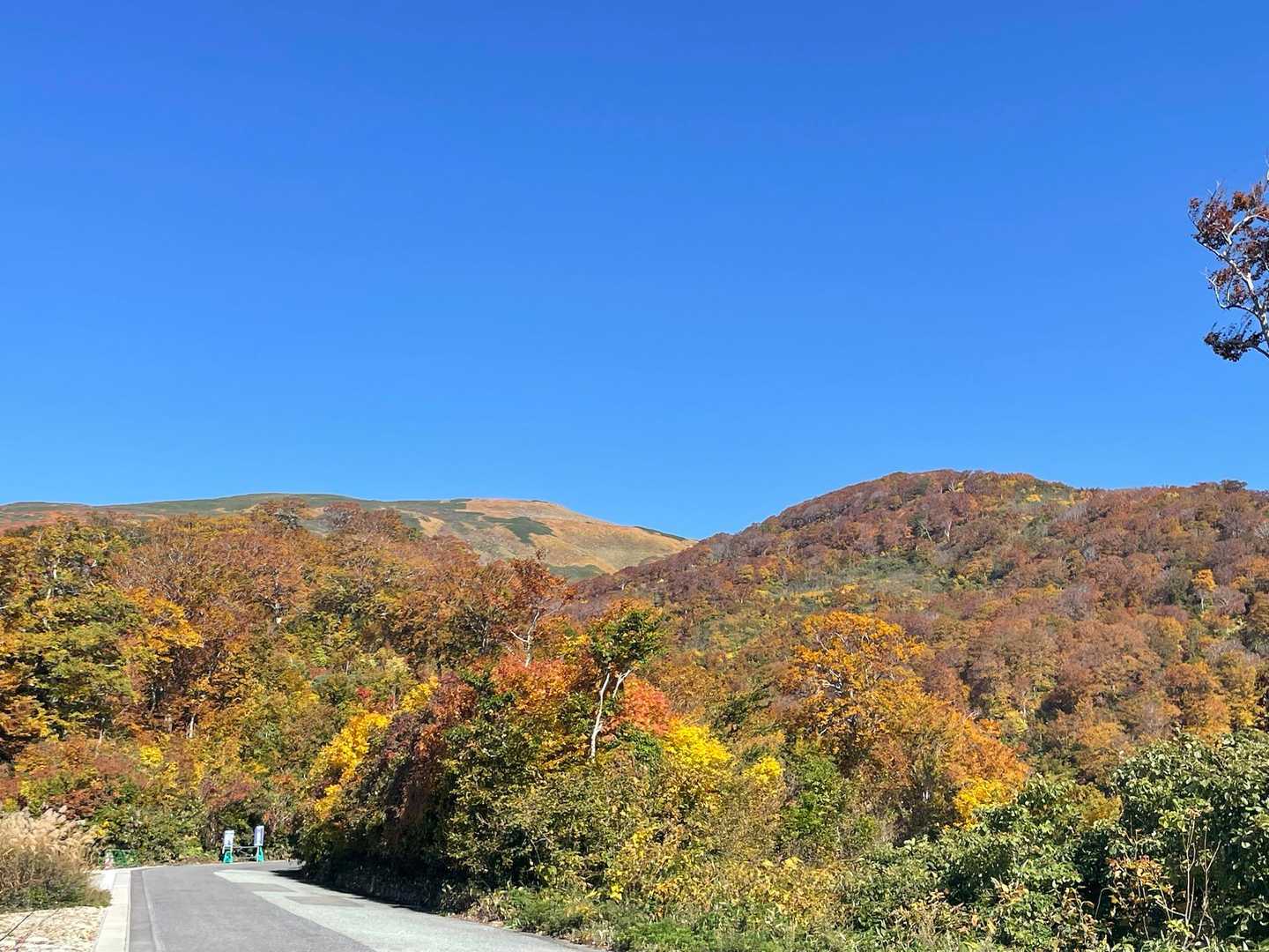 期待しかない青空と紅葉🍁
