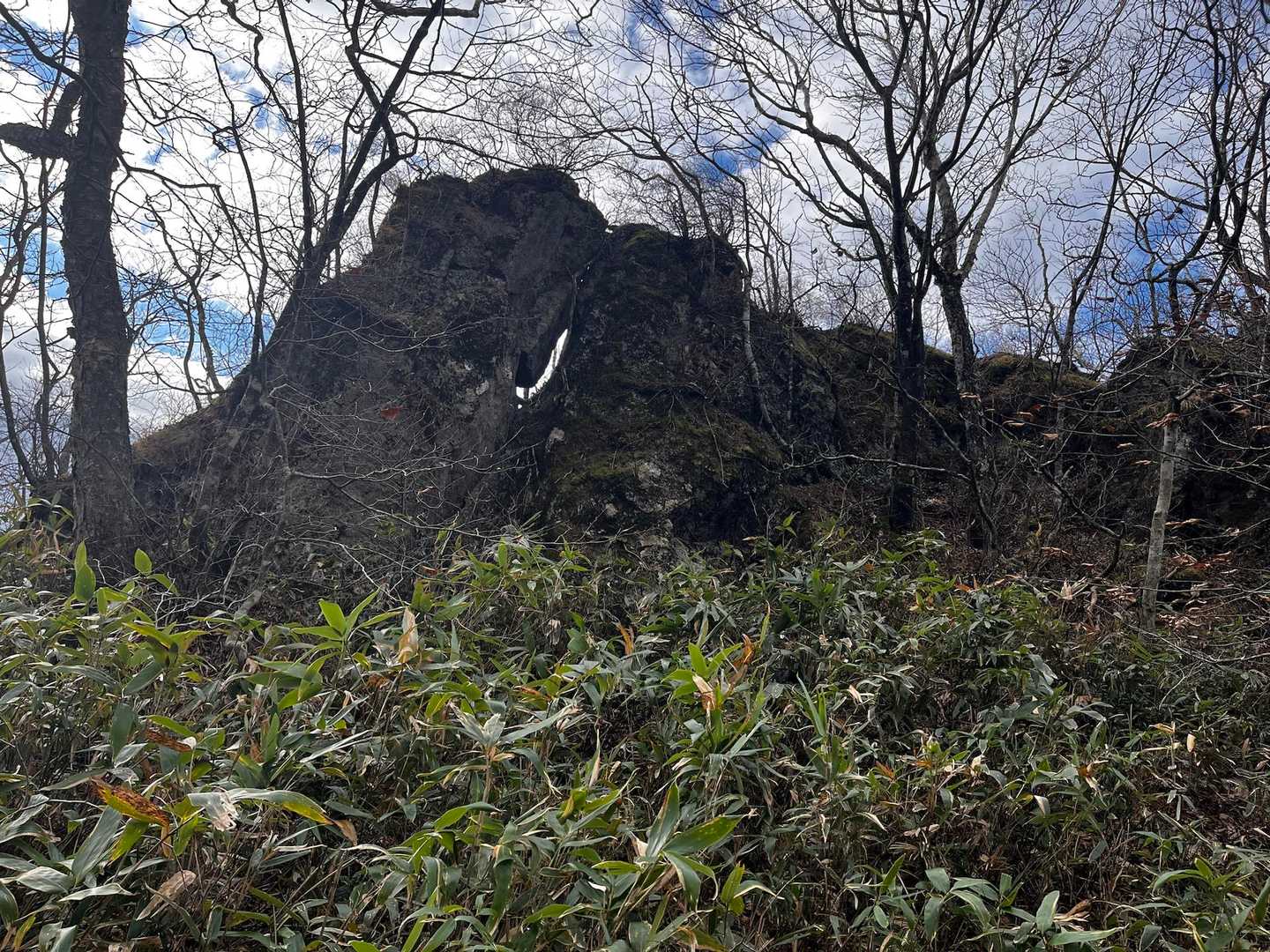 なんとなく撮ってみた🪨
