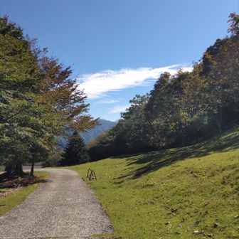 スタートです🎶
ココですでに1140ｍ
いいお天気☀
WASAMATA HYUTTEというキャンプ場までマイクロバス🚌で来たのですが・・・。
狭い道路でくねくねで急坂で😰
対向車とのすれ違い💦
見てて怖かったです😱