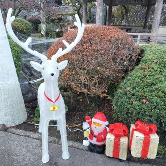 紅葉の時期はライトアップしてるんだよね