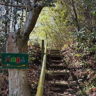 手すりと階段が竹仕様、素敵