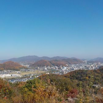 北東

秋晴れ
まだまだ野暮用が残ってるけど
12月はピークハントしたいなぁ