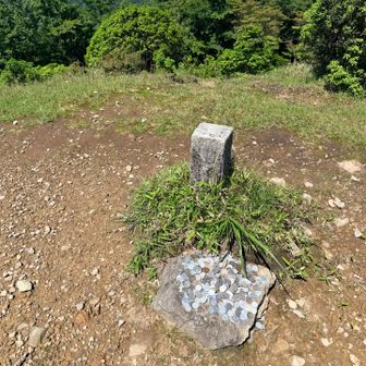 三角点にお金が山積み