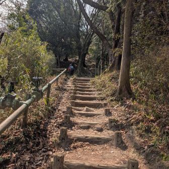 ここから地味に階段💦