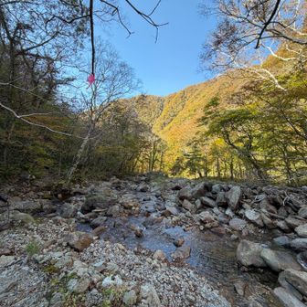 紅葉した日の当たる斜面を眺めながらの渡渉