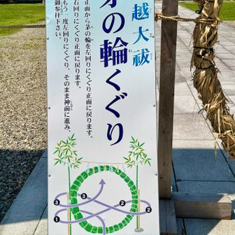 このくぐり方に倣い