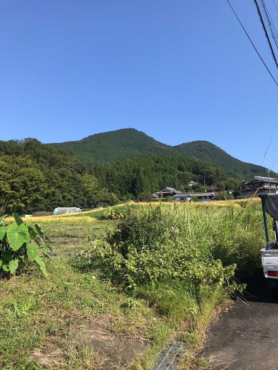 額井岳の写真