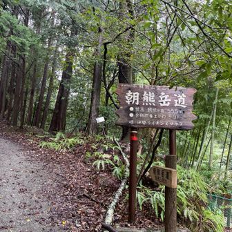 平日の雨天時に登る人なんていないと思っていましたが、さすが朝熊山😅