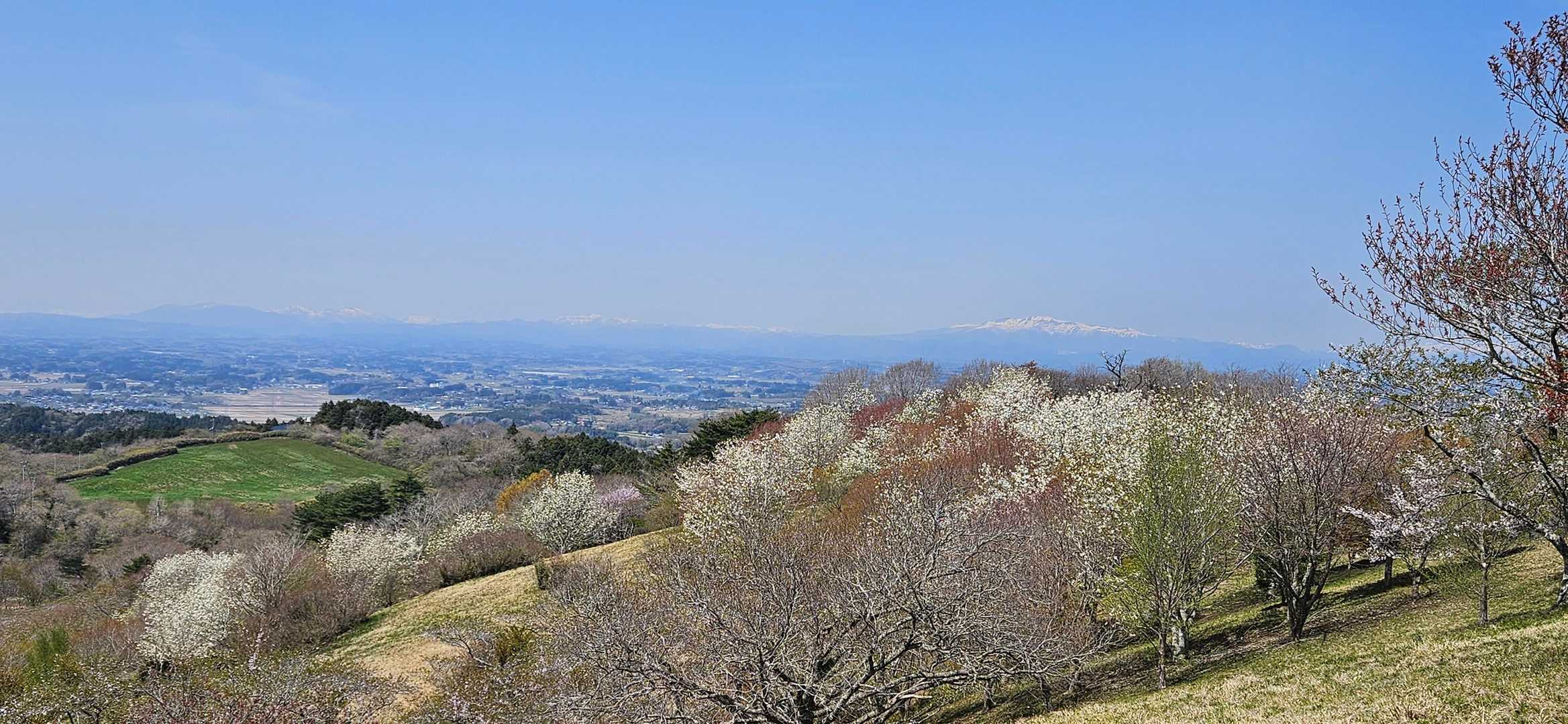 加護坊山-加護坊山登山口 周回コースの写真