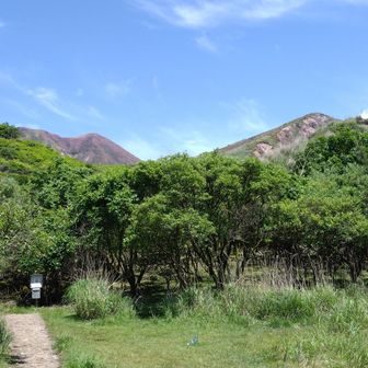 登山口に帰りました
今日はたくさんの人と出会い、会話し、笑い合ったり…
素晴らしいミヤマキリシマのくじゅうを楽しめて幸せだし、山ならではの一期一会の出会いも温かい思い出に❣️

歩けること…
自然に身を置けること…
出会いがあること…
そして感動を共有できる人がいること…
すべてにありがとうございます💓