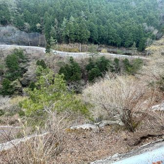 登山口に戻ってきた