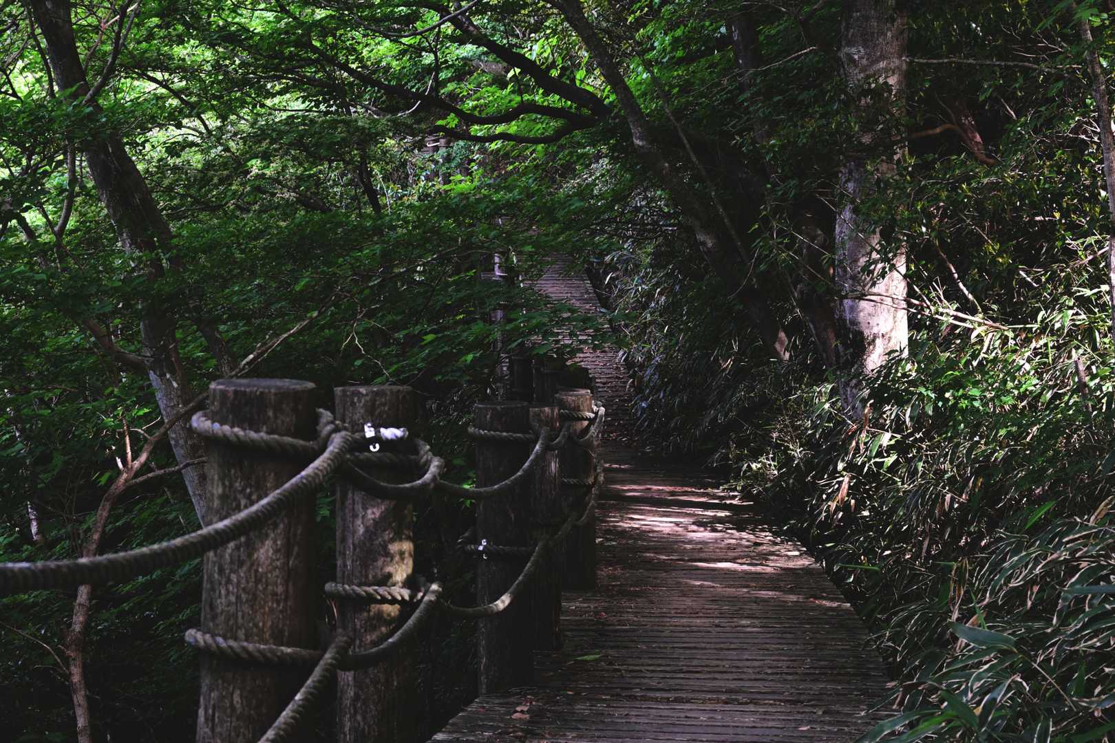 脊振山-矢筈峠-唐人の舞-椎原峠-鬼ヶ鼻岩 往復コースの写真