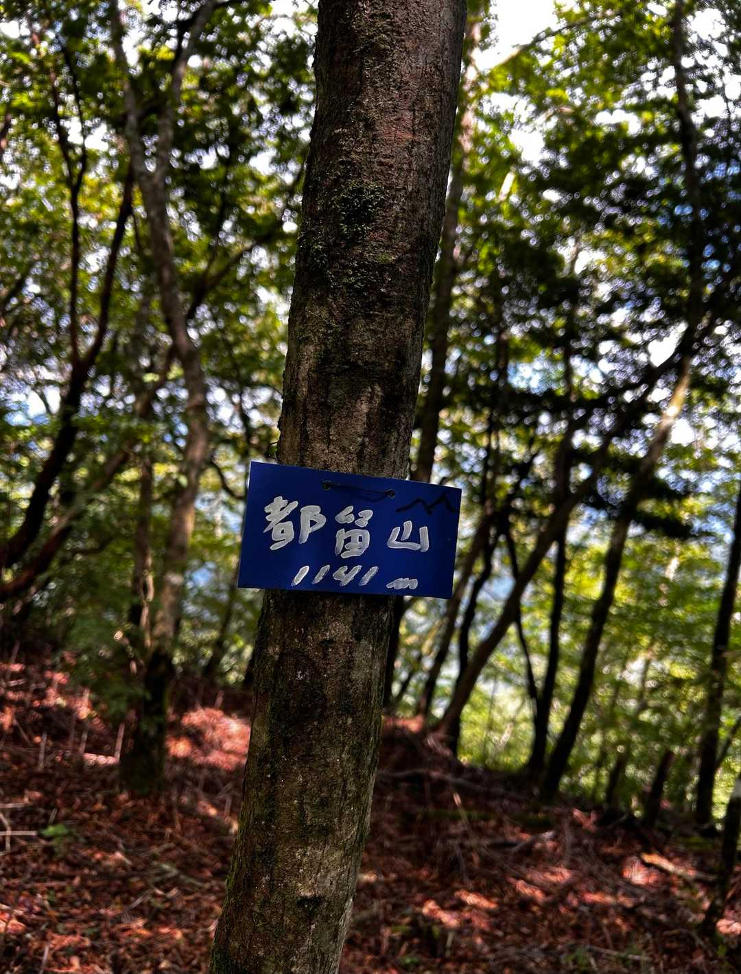 行きにどうしてもわからなかった🪧2人で探したらみつかった😄😃