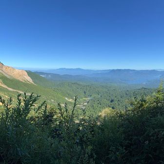 森を抜けて振り返れば、絶景。