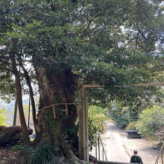 瑠璃光寺でお参り後