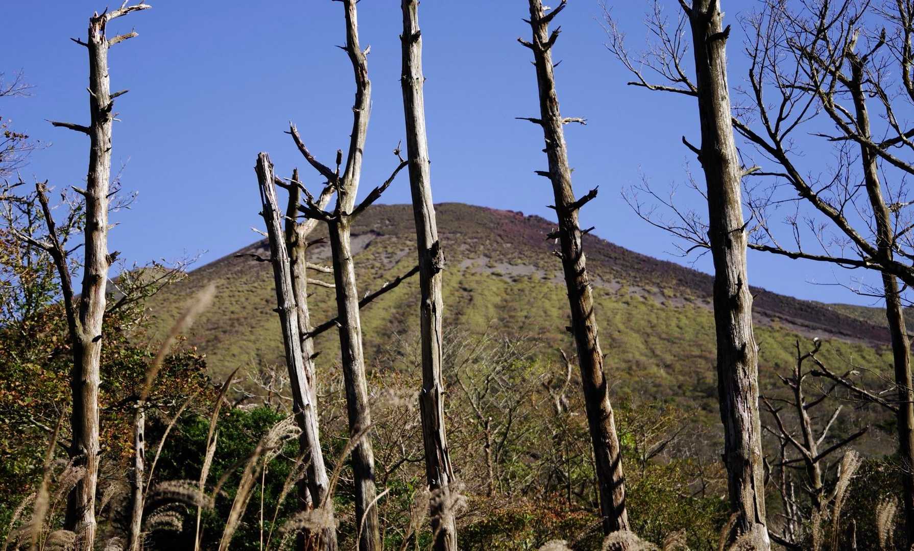 高千穂河原ビジターセンター-高千穂河原登山口-矢岳 往復コースの写真