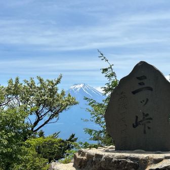 三ツ峠山頂より富士山