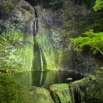 水量の少ない布引の滝