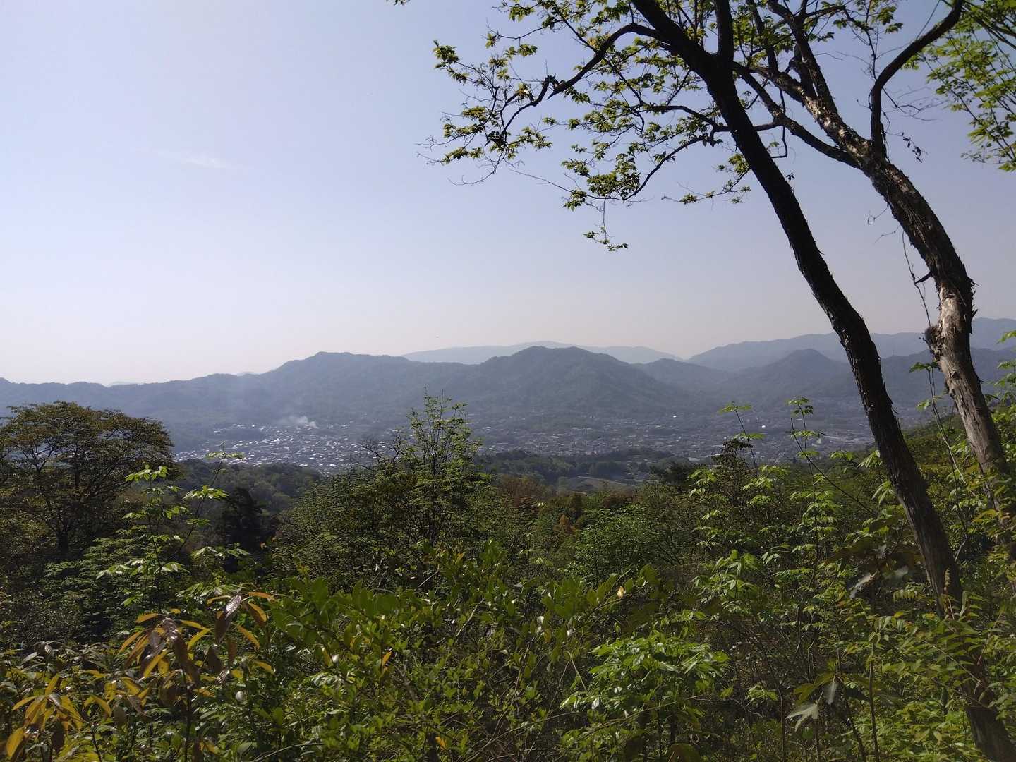 ゆるぎ観音-赤穂峠-城山-金ヶ燈篭山 周回コースの写真