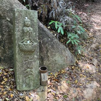 しかし減って十六丁に