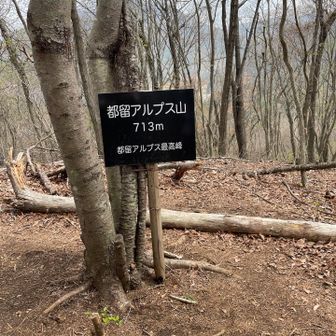 都留アルプス山(本日最高峰)