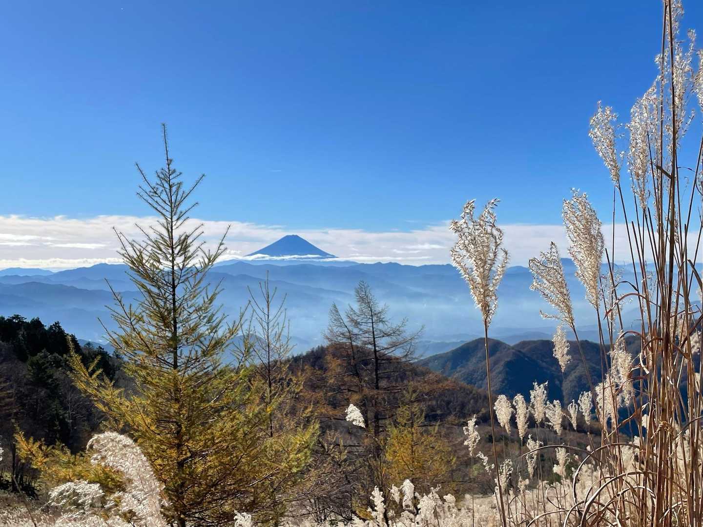乾徳山登山口バス停-乾徳山登山口-乾徳山-道満山-徳和峠 周回コースの写真