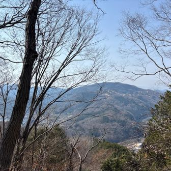里山ならではの善き👍