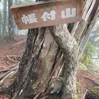 山頂標識は一個でいいってば