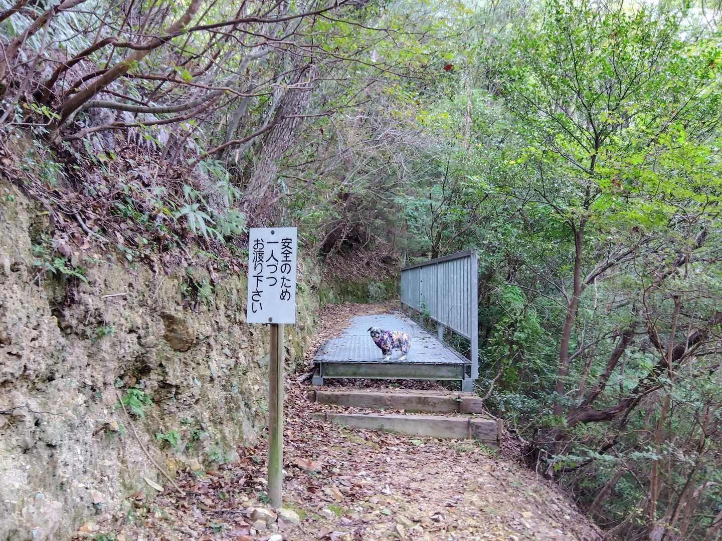 公渕森林公園駐車場からスタート
よく整備された道