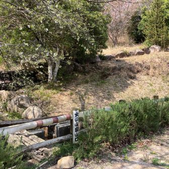 クロカンコースたまに走るんですが、ここから火の山上がれるんですね✨