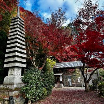 お寺の奥の北門から退山。
ありがとうございました🙏