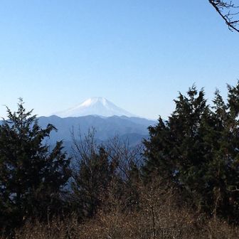 明王峠からの富士山はなかなか趣がある。