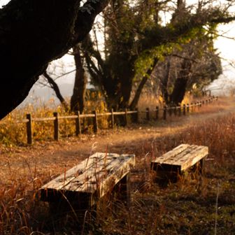 ベンチ

「すわる」とうれしくて、
「たつ」とさみしい。

そんな性格なのかも
