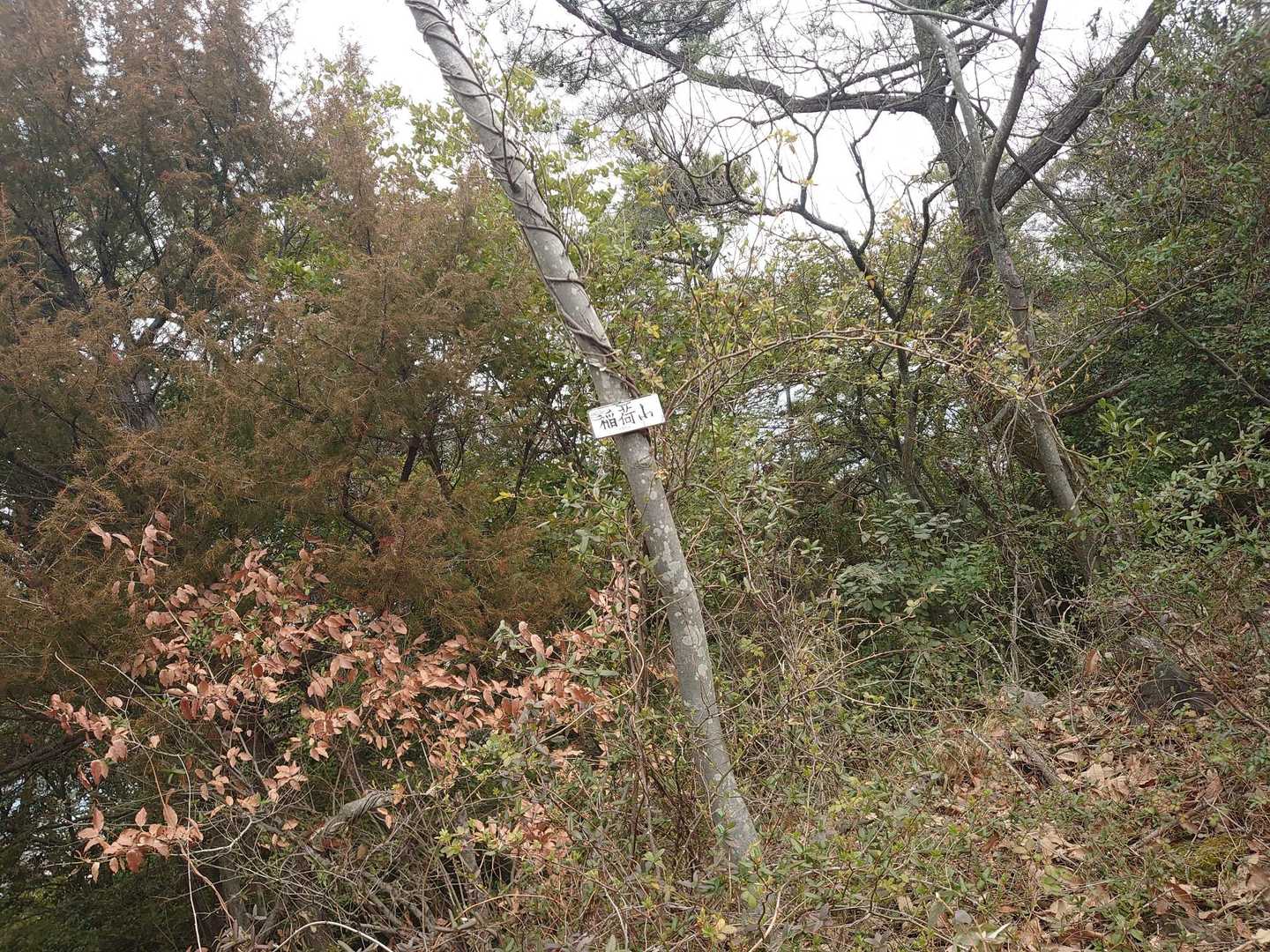 山頂到着😆…ってゆーかココは…