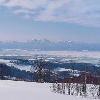 なかなか迫力あります。なかなかいいわーこのアングル🎖️