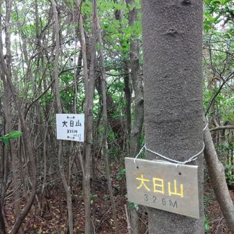 大日山のピークをゲット