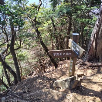 …山頂には何人か居て狭いので長居は無用。ここまで同じペースで来た男性も早々に下山