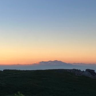 朝